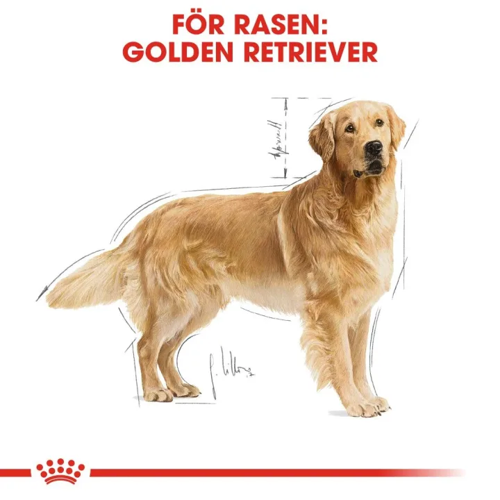 Royal Canin Golden Retriever Adult 12 kg Royal Canin