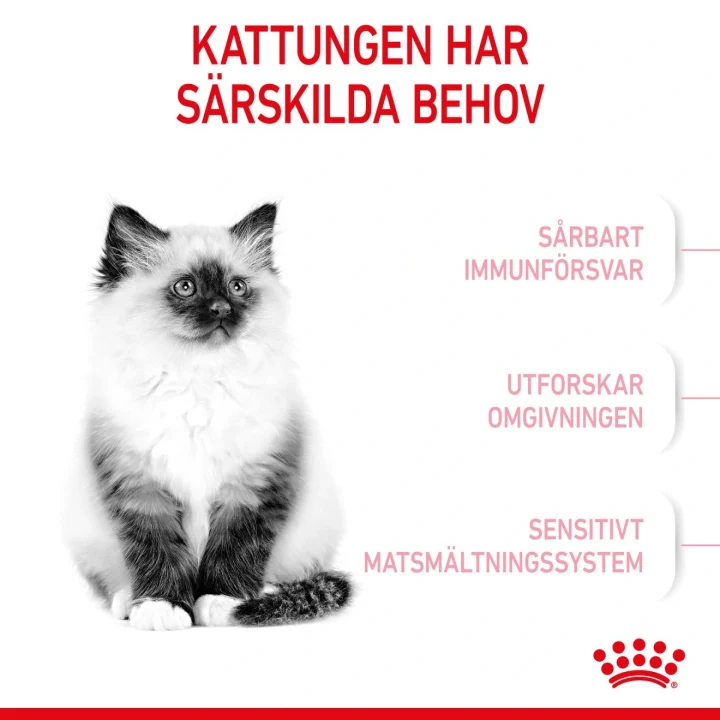 Royal Canin Kitten  10 kg Royal Canin