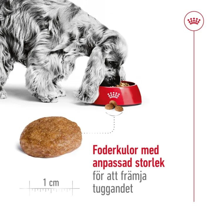 Royal Canin Medium Adult 7+ Dog 15 kg Royal Canin