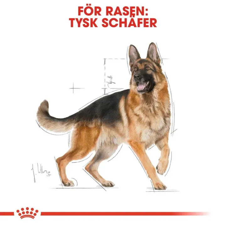 Royal Canin German Shepherd Adult 11 kg Royal Canin