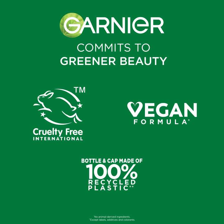 Garnier PureActive Exfoliating Liquid Care 120 ml Garnier