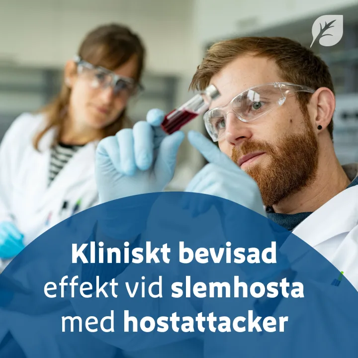 Mucofyl Sirap 100 ml mucofyl, Bionorica