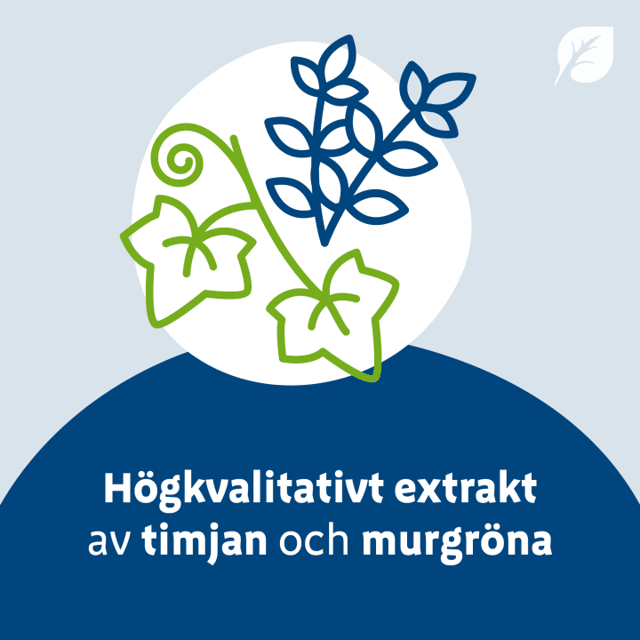 Mucofyl Forte Oral Lösning 100 ml mucofyl, Bionorica