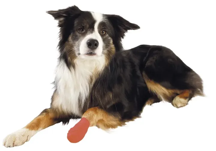 Trixie Självhäftande Bandagebinda Bitter 5 cm/4,5 m 4 st Trixie