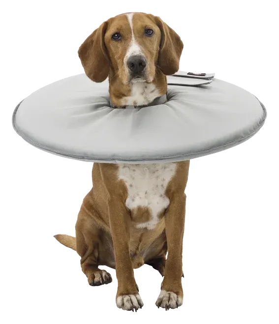 Trixie Mjuk Hundkrage Grå XL Trixie