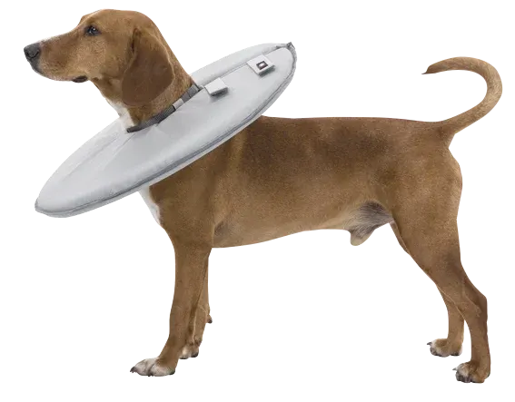 Trixie Mjuk Hundkrage Grå L-XL Trixie