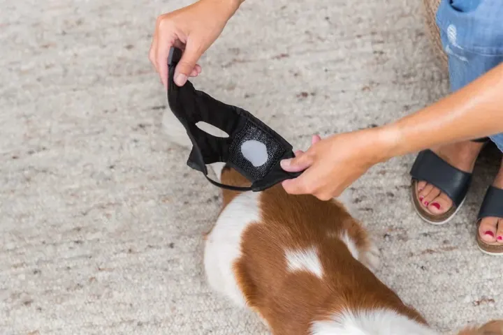 Trixie Tikskydd Svart XS Trixie