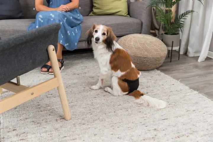 Trixie Tikskydd Svart M Trixie