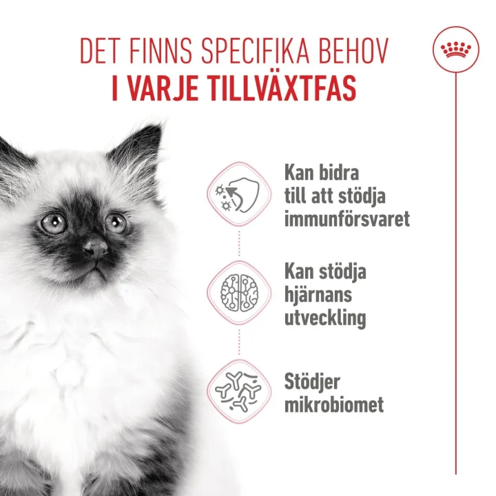 Royal Canin Kitten  4 kg Royal Canin