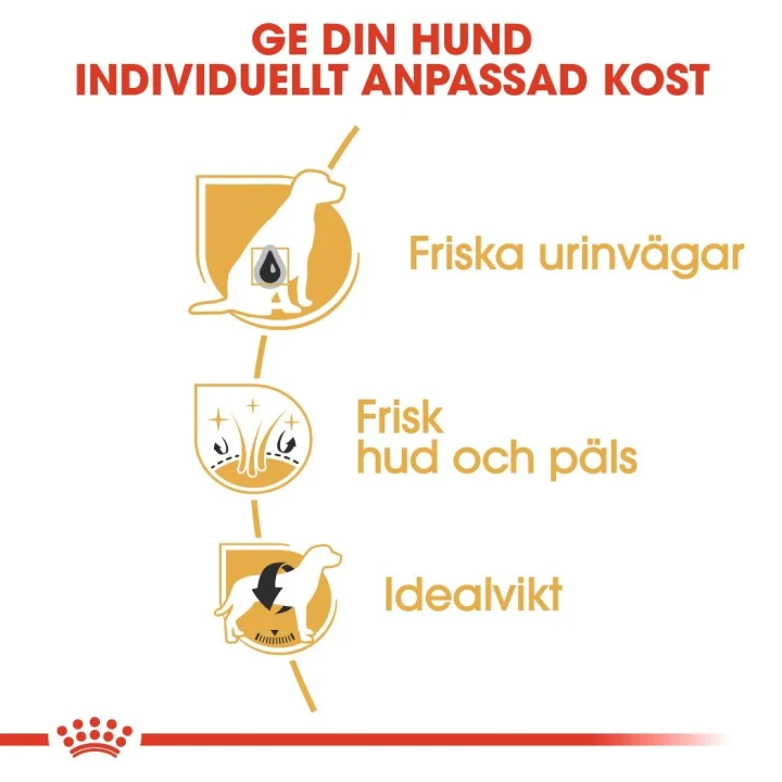 Royal Canin Bichon Frisé Adult 1,5 kg Royal Canin