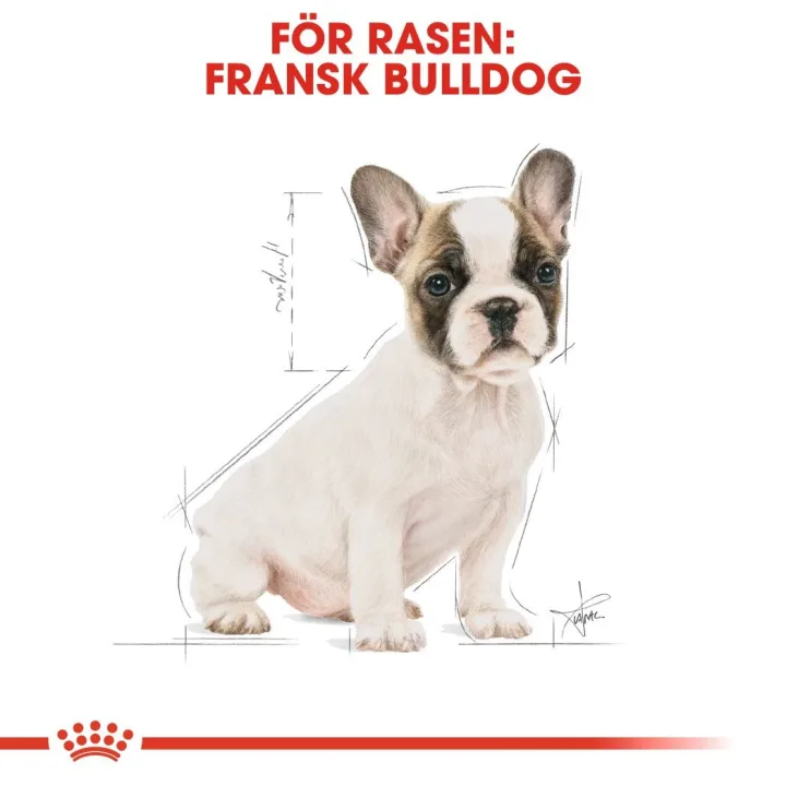 Royal Canin French Bulldog Puppy 10 kg Royal Canin