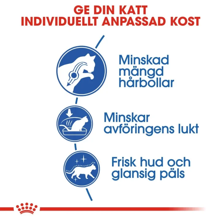 Royal Canin Indoor Long Hair 10 kg Royal Canin