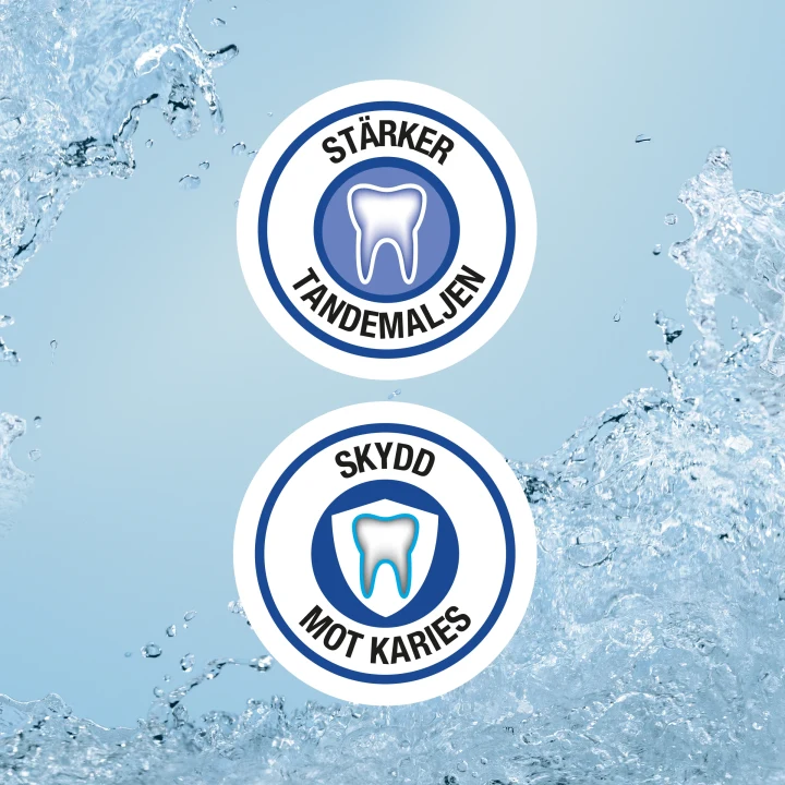 SB12 Tandkräm 100 ml SB12