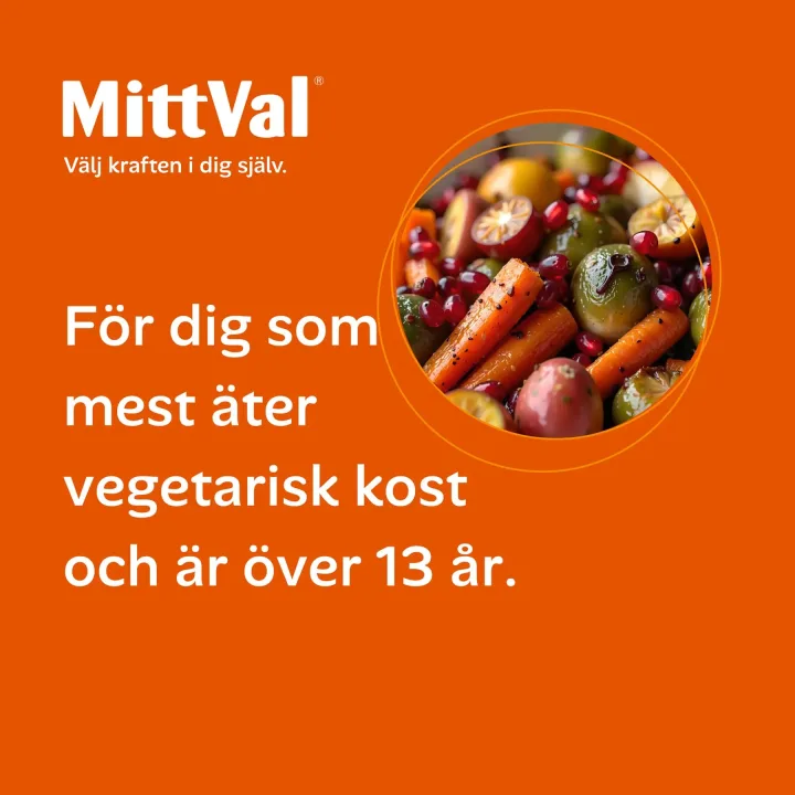 MittVal Vegetarian Tablett 100 st MittVal