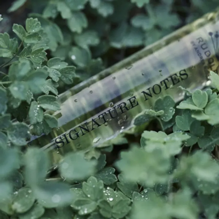 Rudolph Care Signature Notes Huile de Parfume 8 ml Rudolph Care