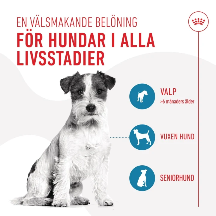 Royal Canin Training Treat 110 g ROYALCANIN