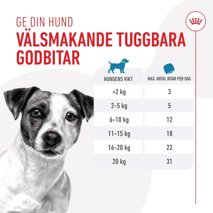 Royal Canin Training Treat 110 g ROYALCANIN
