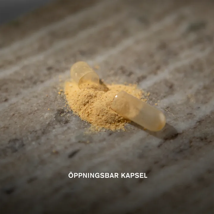 Holistic Thyrobalans 90 kapslar Holistic