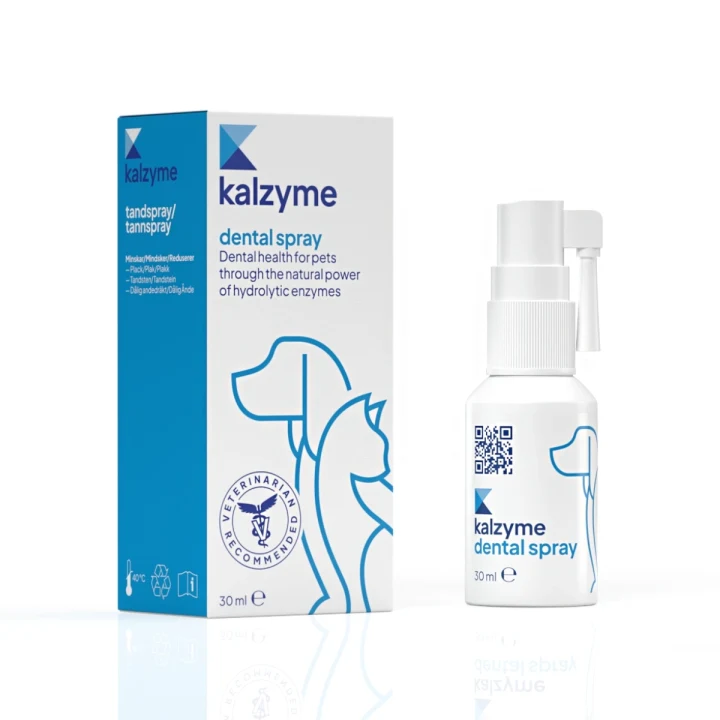 Kalzyme Dental Spray 30 ml Kalzyme
