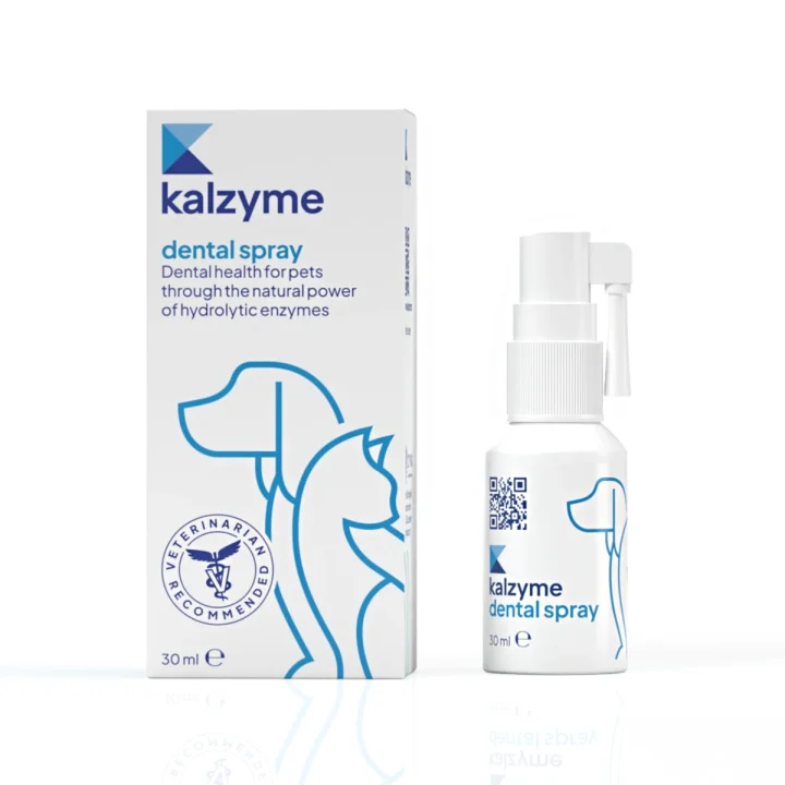 Kalzyme Dental Spray 30 ml Kalzyme