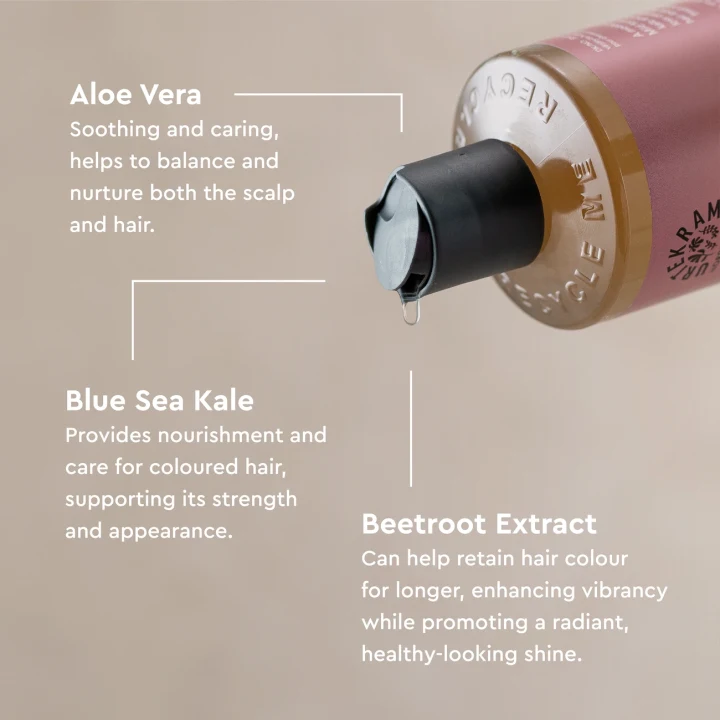 Urtekram Dare To Dream Soft Wild Rose Colour Preserve Shampoo 250 ml Urtekram