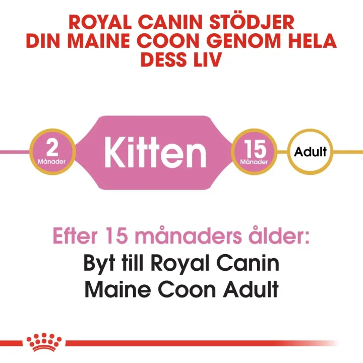 Royal Canin Maine Coon Kitten 10 kg Royal Canin