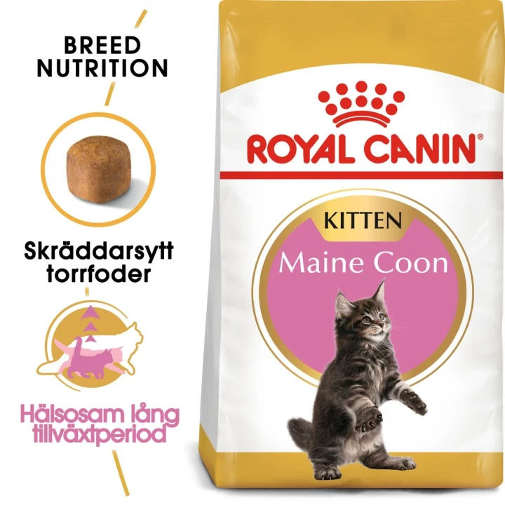 Royal Canin Maine Coon Kitten 10 kg Royal Canin