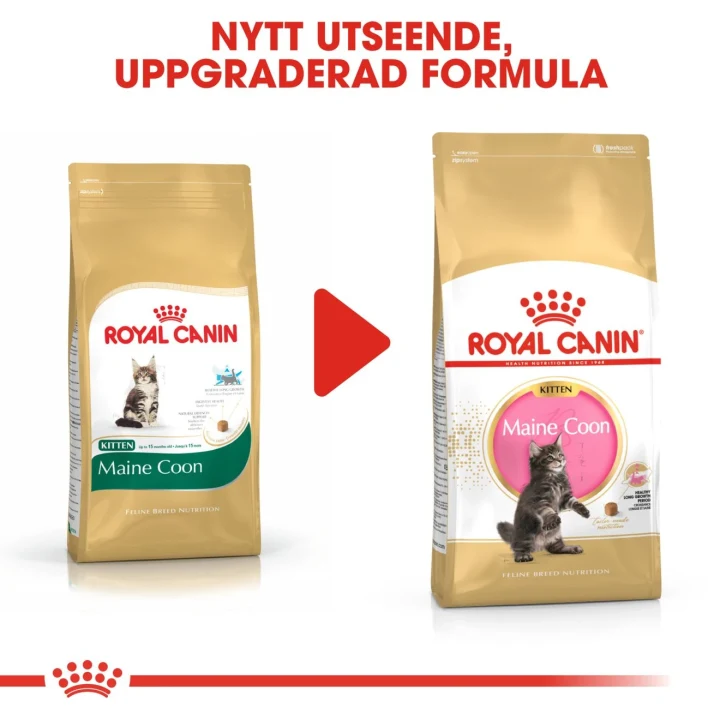 Royal Canin Maine Coon Kitten 10 kg Royal Canin