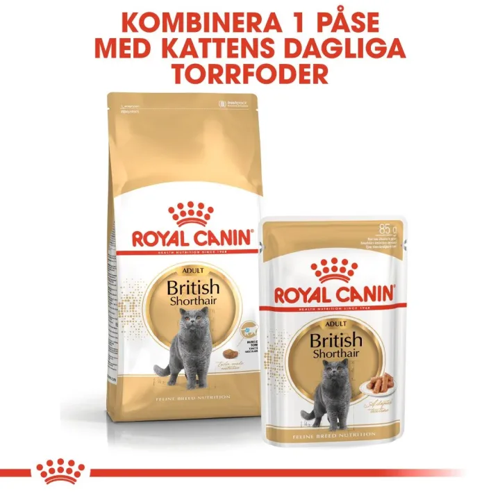 Royal Canin British Shorthair Adult Royal Canin