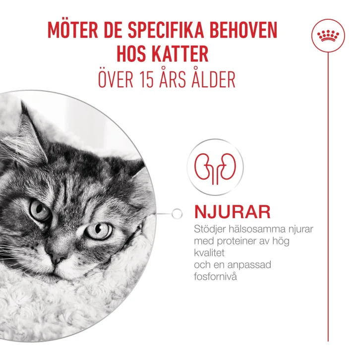 Royal Canin Ageing Cat 15+ Gravy Våtfoder 12x85 g Royal Canin