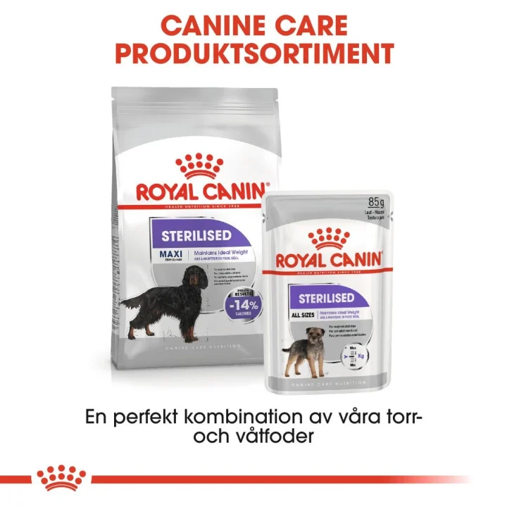 Royal Canin Sterilised Maxi Dog 12 kg Royal Canin