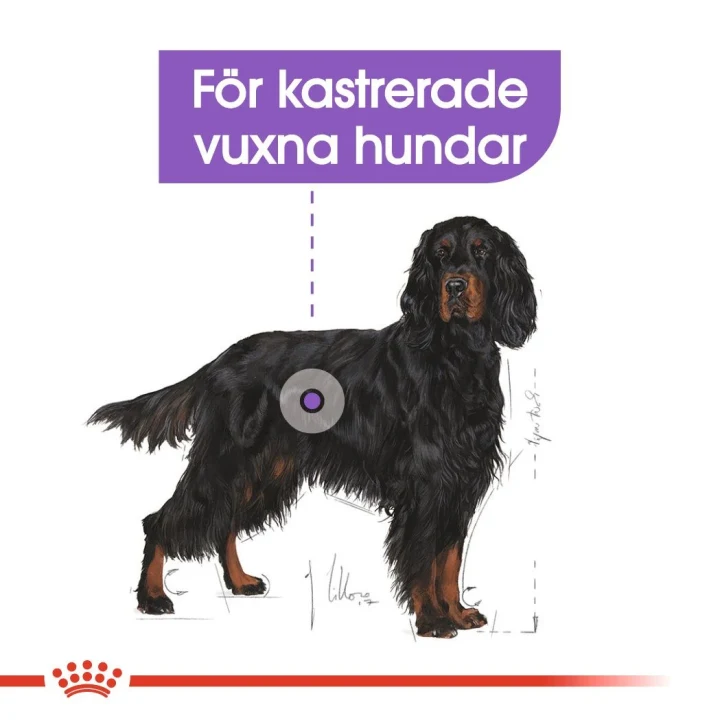 Royal Canin Sterilised Maxi Dog 12 kg Royal Canin