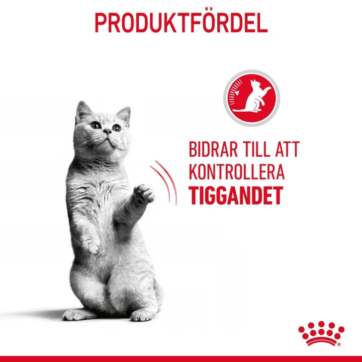 Royal Canin Appetite Control Care Cat 10 kg Royal Canin
