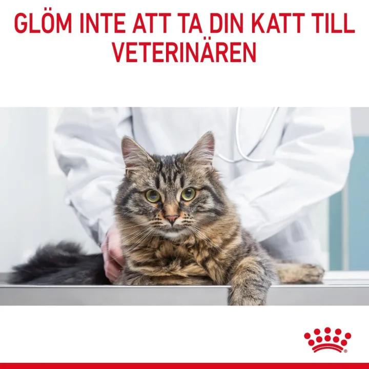 Royal Canin Appetite Control Care Cat 10 kg Royal Canin