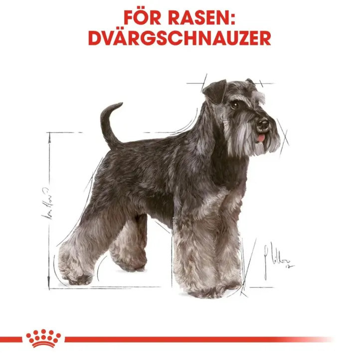 Royal Canin Miniature Schnauzer Adult Dog 7,5 kg Royal Canin