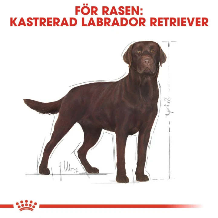 Royal Canin Labrador Retriever Sterilised Dog 12 kg Royal Canin