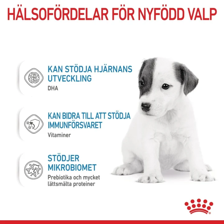 Royal Canin Babydog Milk 400 g Royal Canin