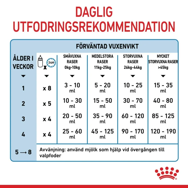 Royal Canin Babydog Milk 400 g Royal Canin