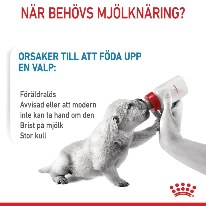 Royal Canin Babydog Milk 400 g Royal Canin