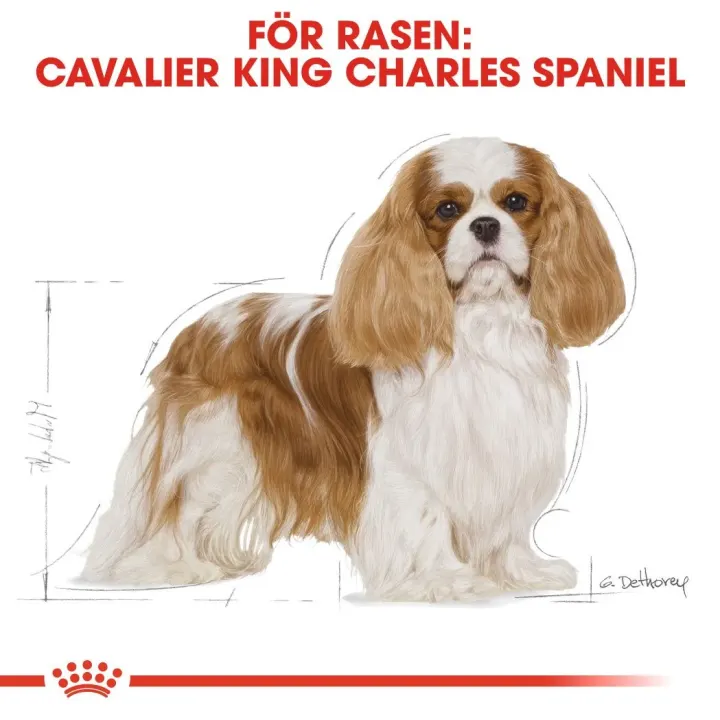 Royal Canin Cavalier King Charles Adult Dog 7,5 kg Royal Canin