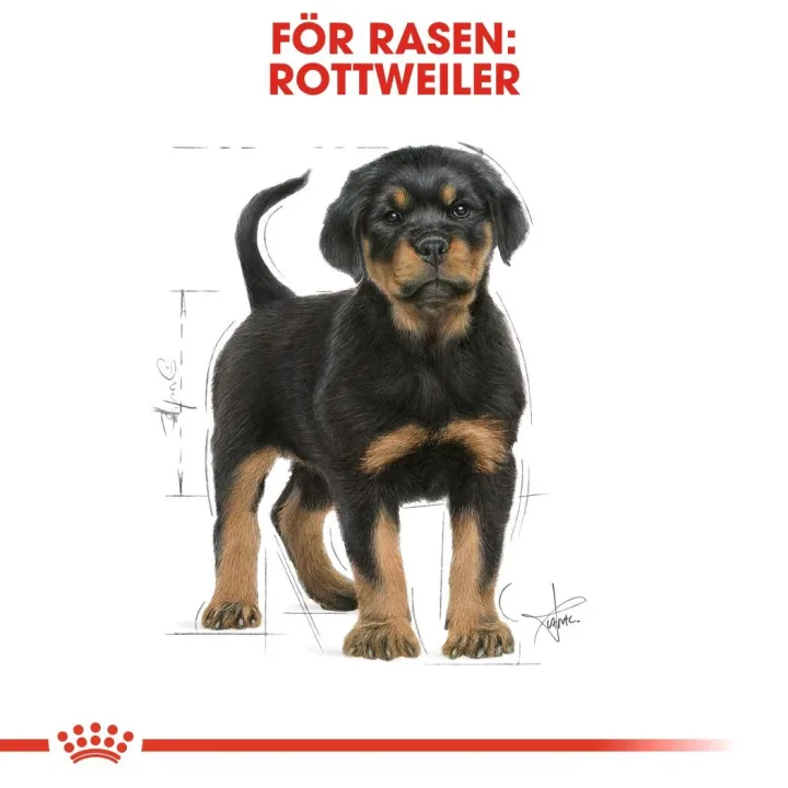 Royal Canin Rottweiler Puppy 12 kg Royal Canin