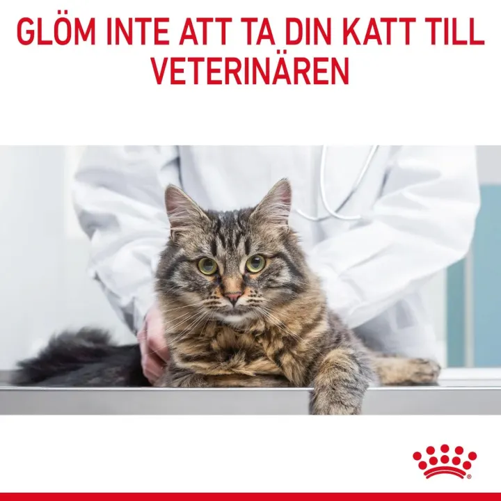 Royal Canin Digestive Care Cat  4 kg Royal Canin