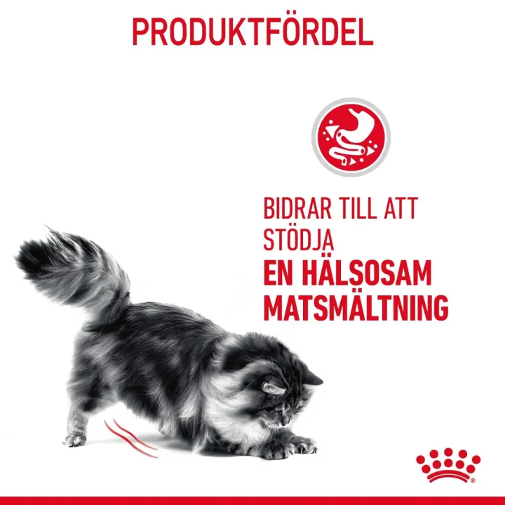 Royal Canin Digestive Care Cat  4 kg Royal Canin