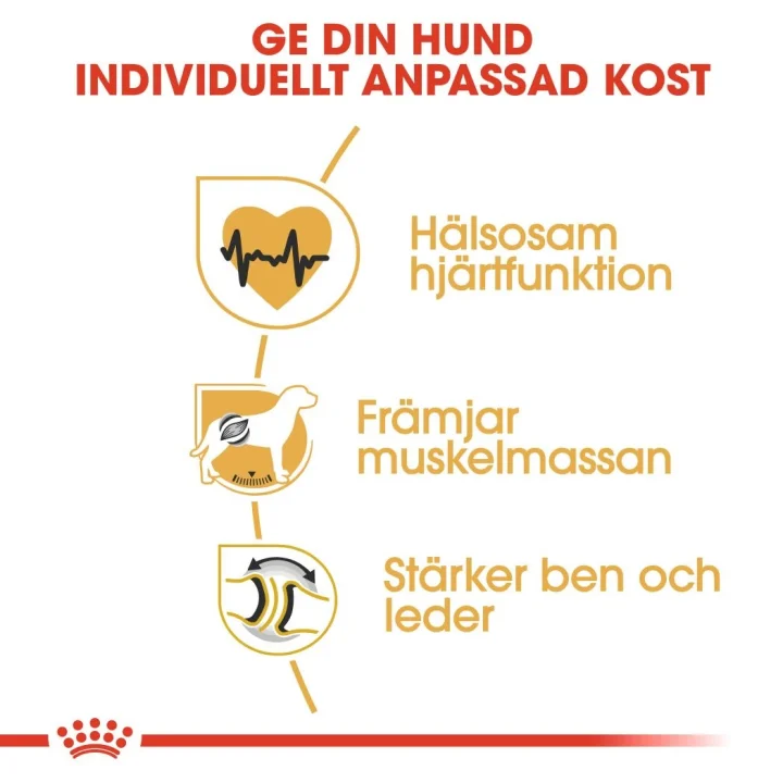 Royal Canin Rottweiler Adult Dog 12 kg Royal Canin