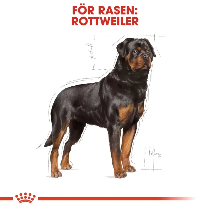 Royal Canin Rottweiler Adult Dog 12 kg Royal Canin