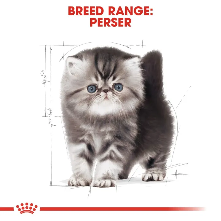 Royal Canin Persian Kitten 2 kg Royal Canin