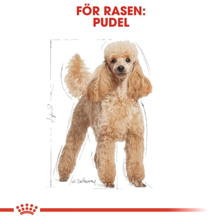 Royal Canin Poodle Adult 7,5 kg Royal Canin