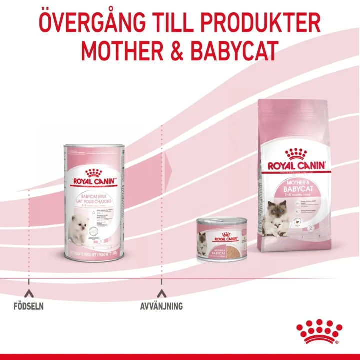 Royal Canin Babycat Milk 300 g Royal Canin