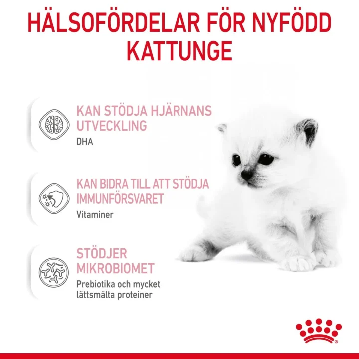 Royal Canin Babycat Milk 300 g Royal Canin