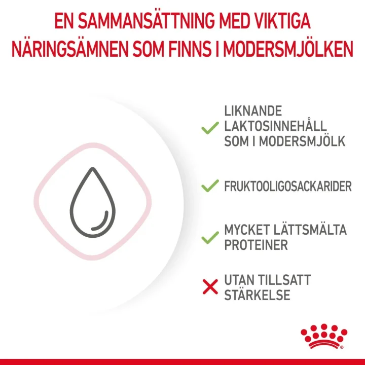 Royal Canin Babycat Milk 300 g Royal Canin